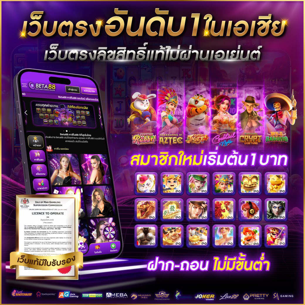 bmplus สล็อต เว็บตรง ยอดนิยม เล่นง่าย จ่ายจริง 2024