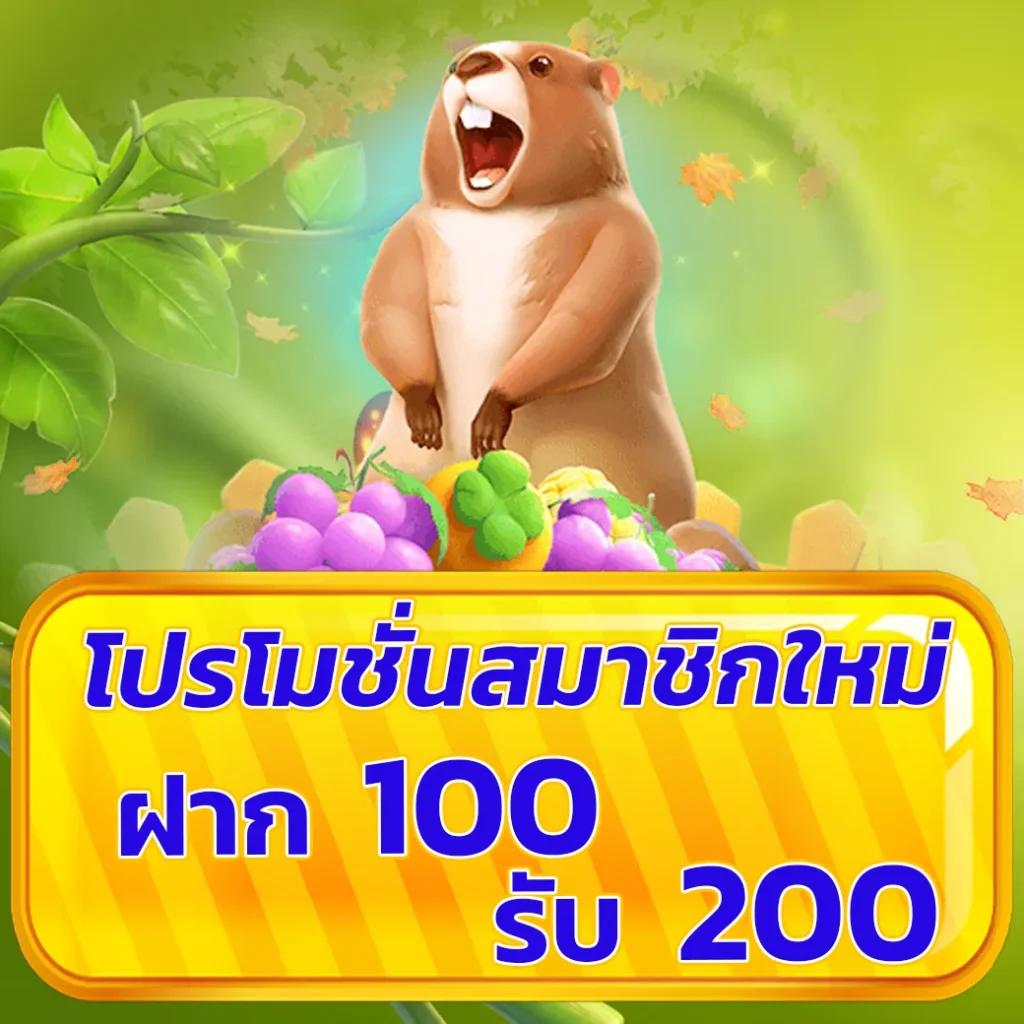 d199สล็อต คาสิโนครบวงจร ระบบออโต้ โปรโมชั่นแรง ลุ้นรางวัลเต็มที่