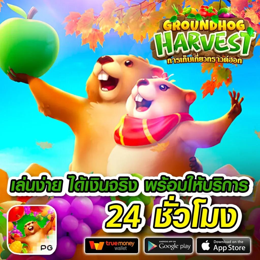 hihuay หวยออนไลน์ เว็บตรงครบวงจร ระบบเสถียร รองรับอัปเดตใหม่ล่าสุด
