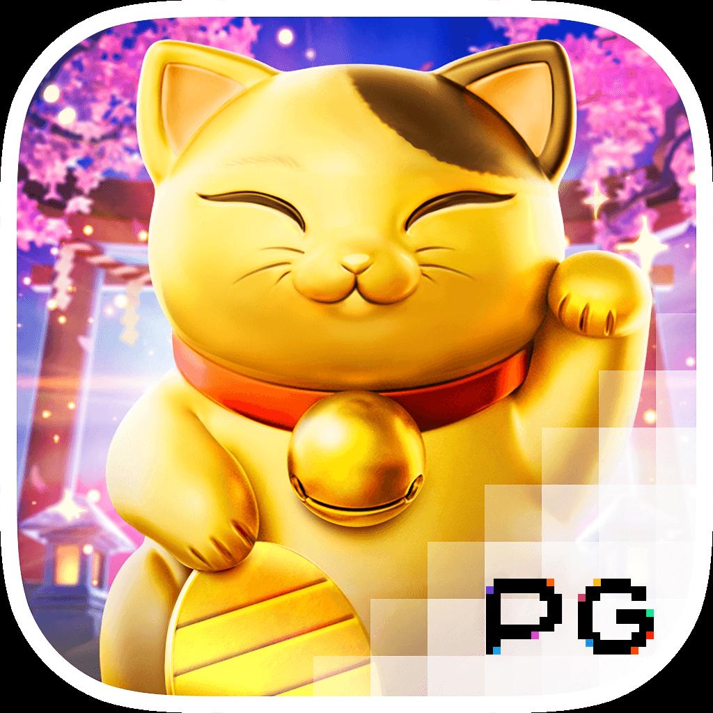 ดูบอลสดวันนี้ | คาสิโนครบวงจร เดิมพันปลอดภัย ยิ่งเล่น ยิ่งรวย